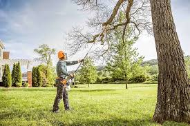 Best Stump Grinding and Removal  in Ben Avon, PA